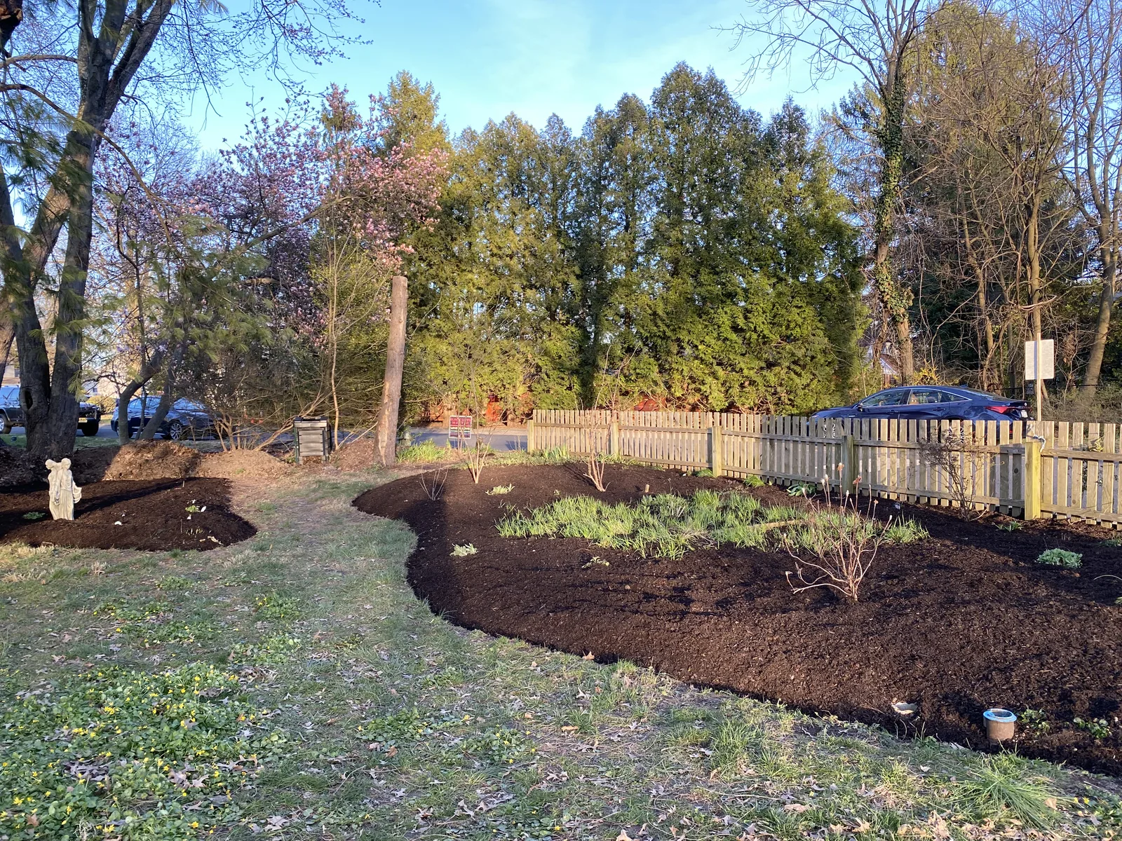 Backyard Bed Definition — after