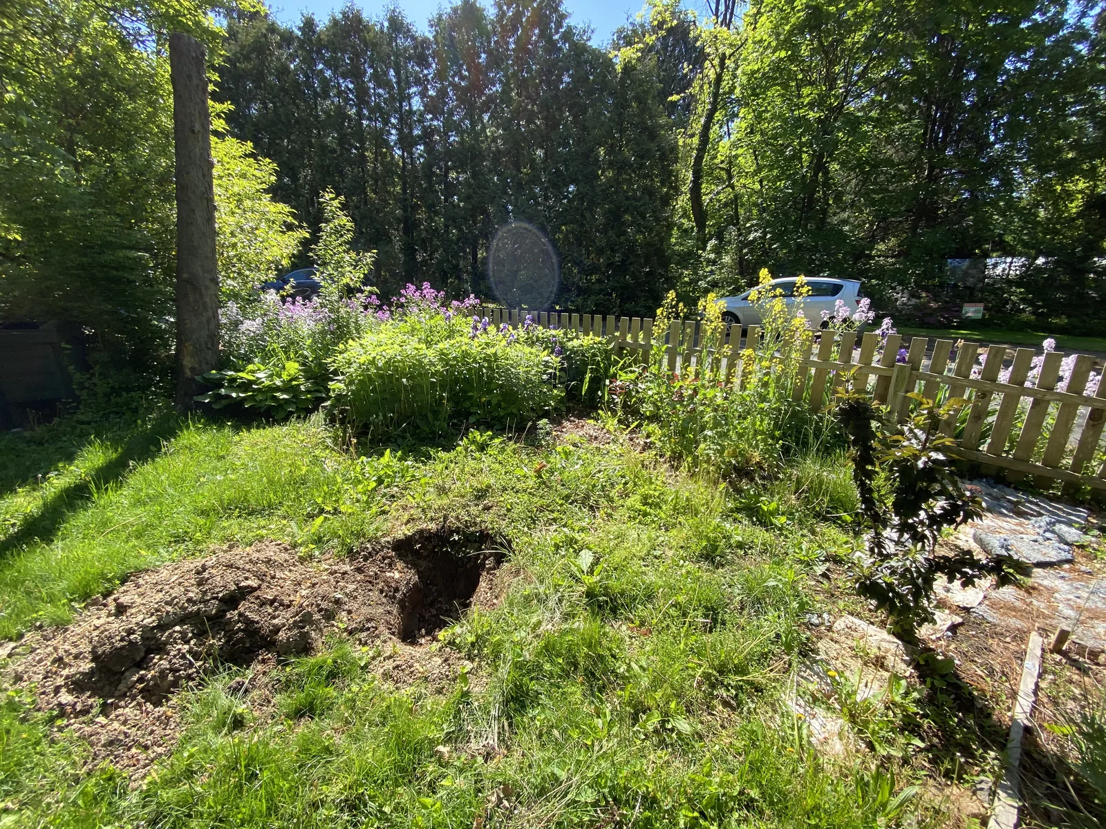Backyard Bed Definition — before